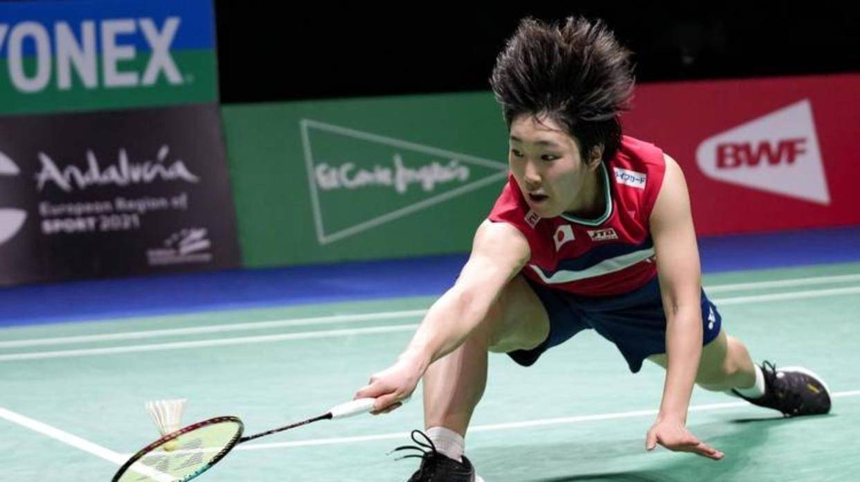 尼克斯对尾